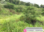 IMG-20200309-WA0026